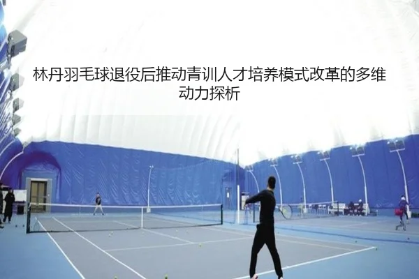 林丹羽毛球退役后推动青训人才培养模式改革的多维动力探析
